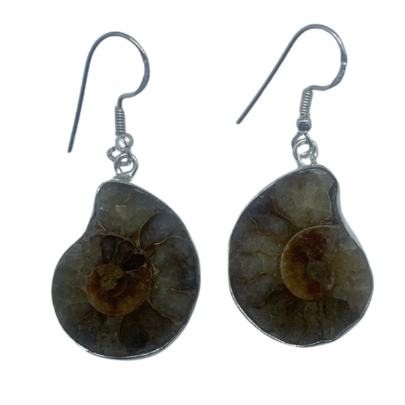 Fosil Earrings - Picture 1 of 1